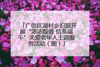 广信区湖村乡妇联开展“浓浓粽香 情系端午”关爱老年人主题服务活动（图）